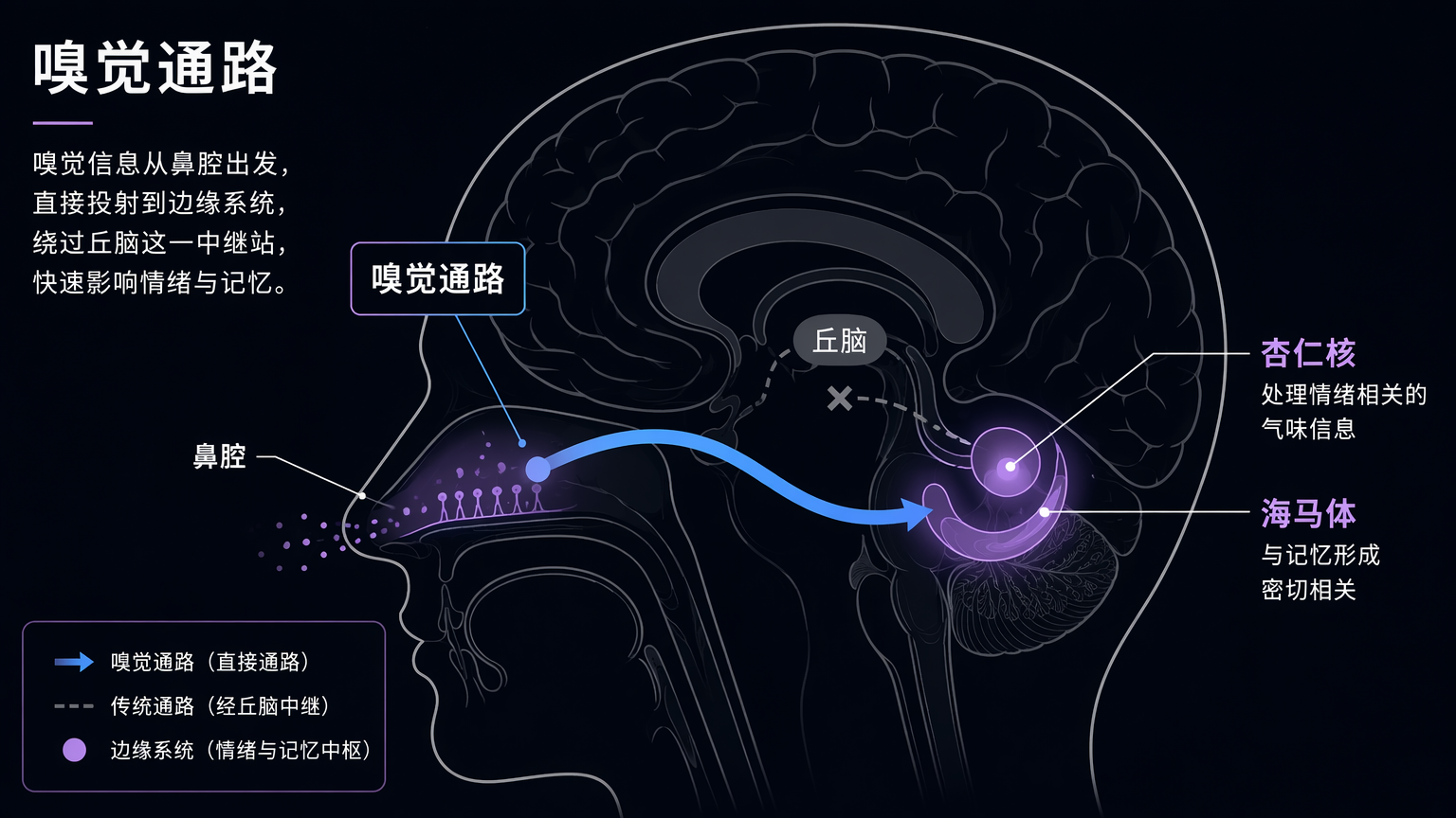 img-ms4c4f5y-db00cadb.png